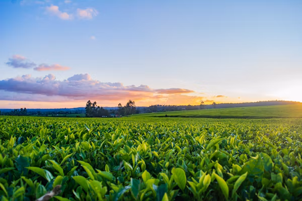 Agriculture